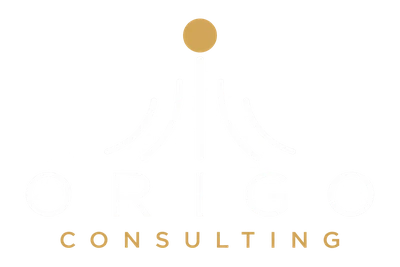 Origo Consulting